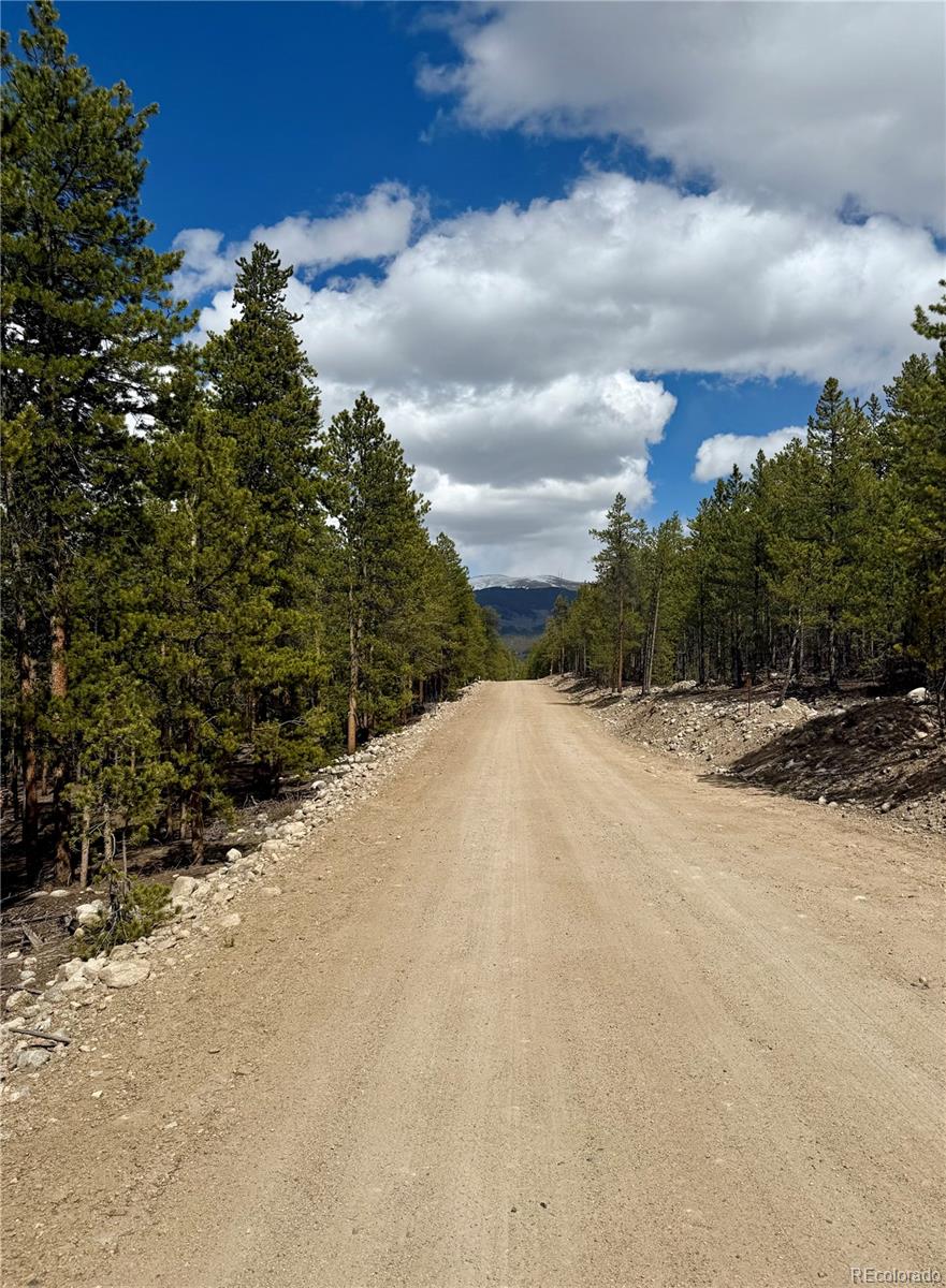 1127 Sequoia Drive Twin Lakes CO 80461