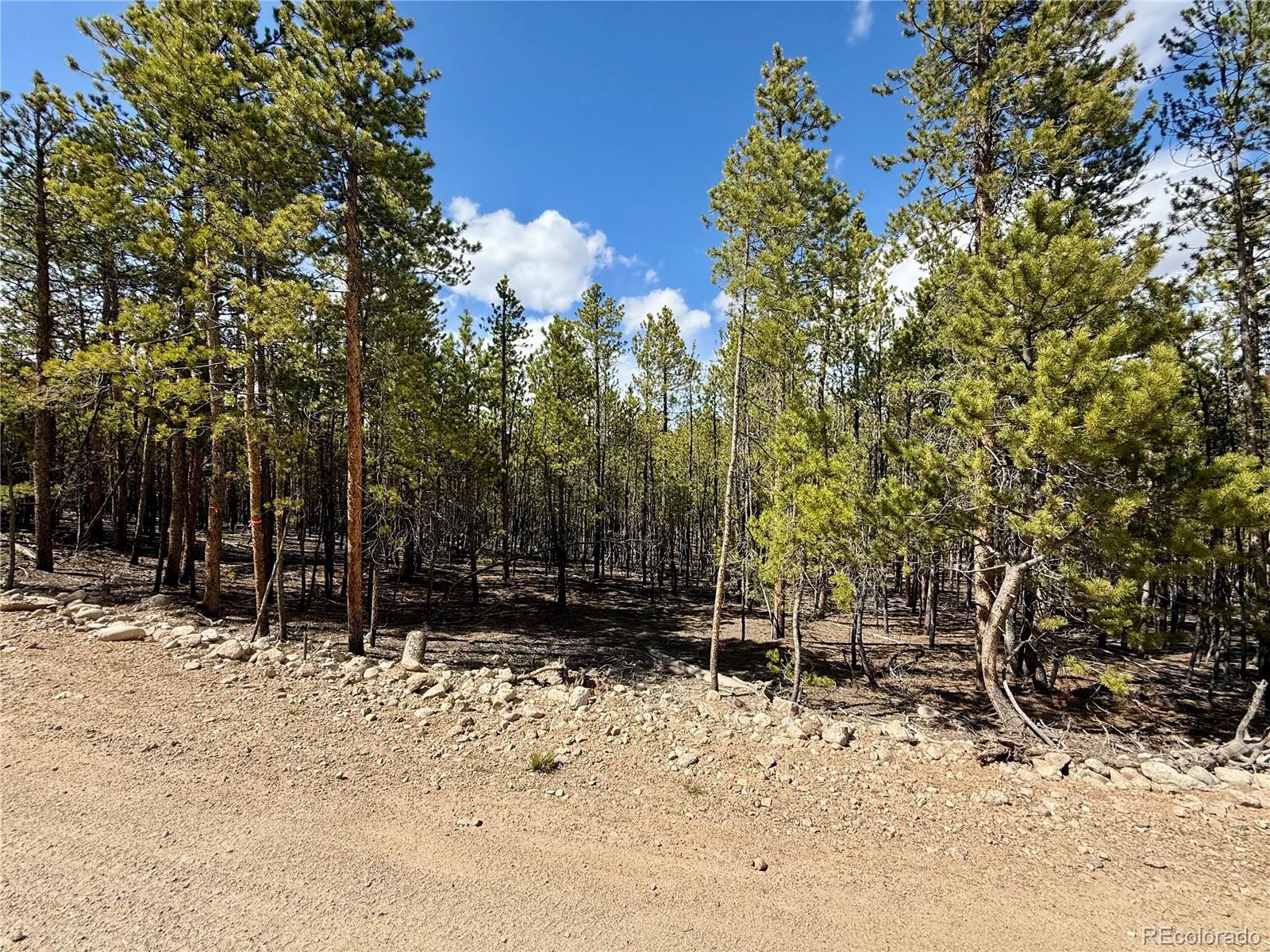 1127 Sequoia Drive Twin Lakes CO 80461