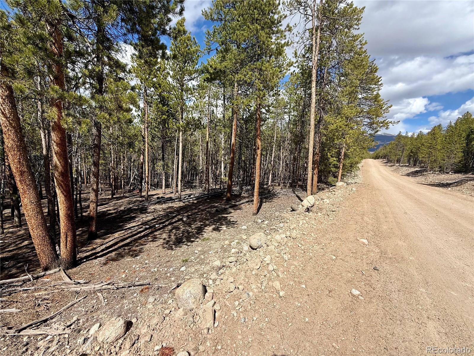1127 Sequoia Drive Twin Lakes CO 80461