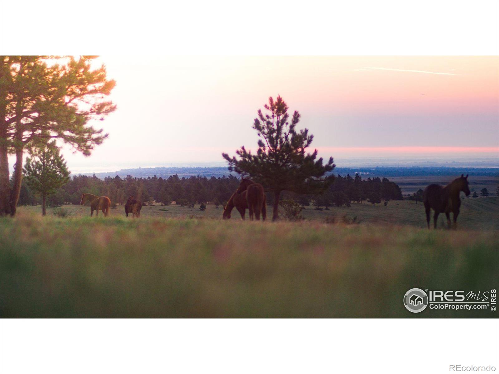 11919 State Highway 93, Lot B Boulder CO 80303