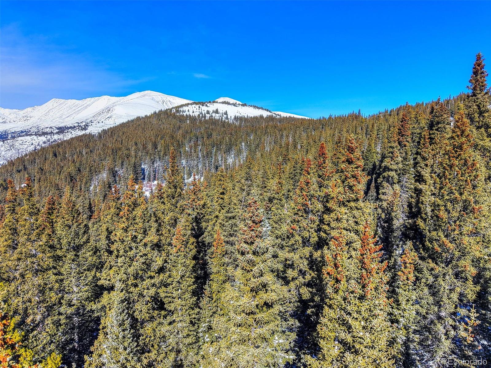 58969 Highway 9 Alma CO 80420