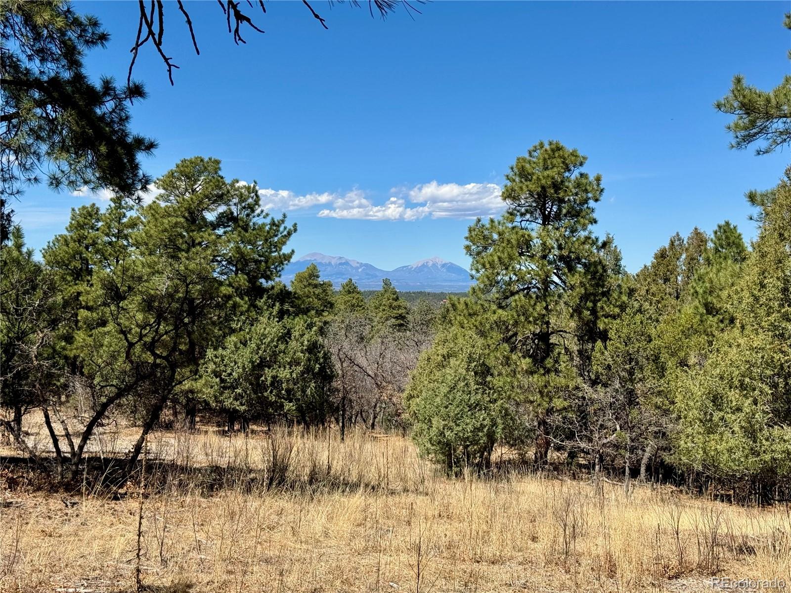 34999 Timber Park Drive Trinidad CO 81082