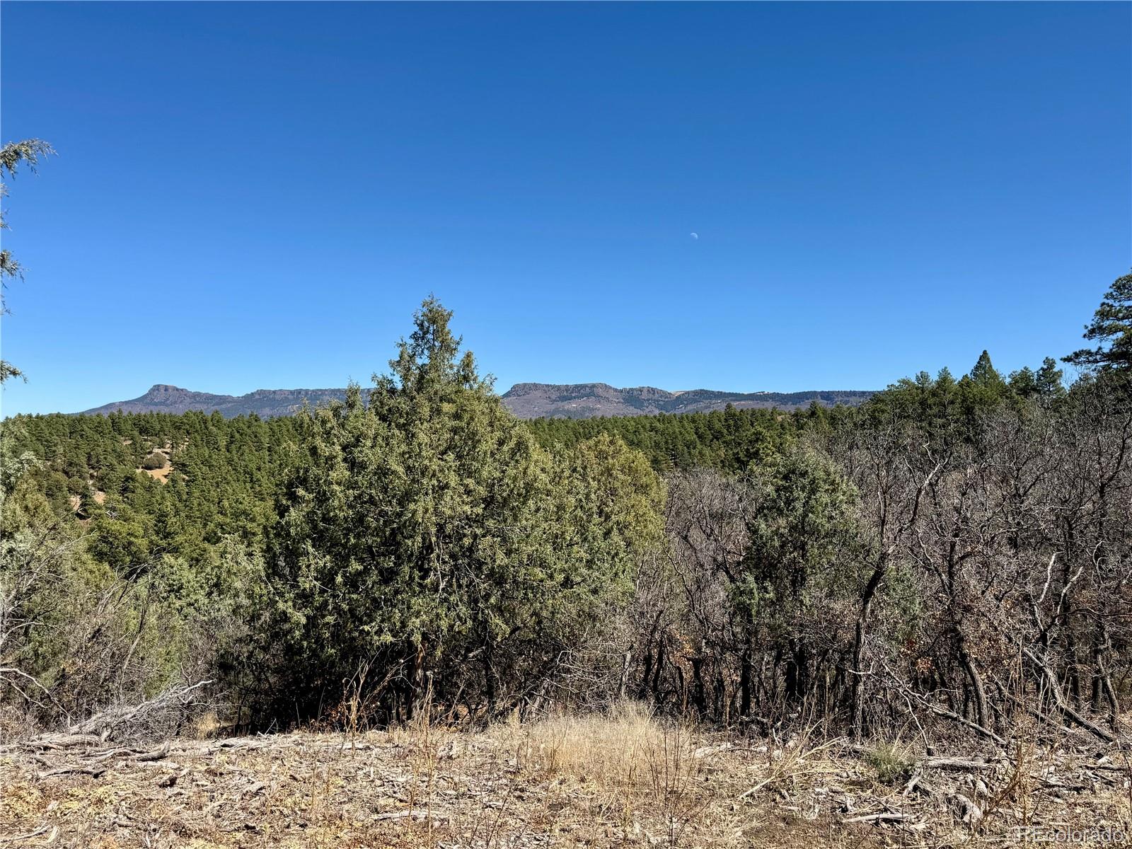 34999 Timber Park Drive Trinidad CO 81082
