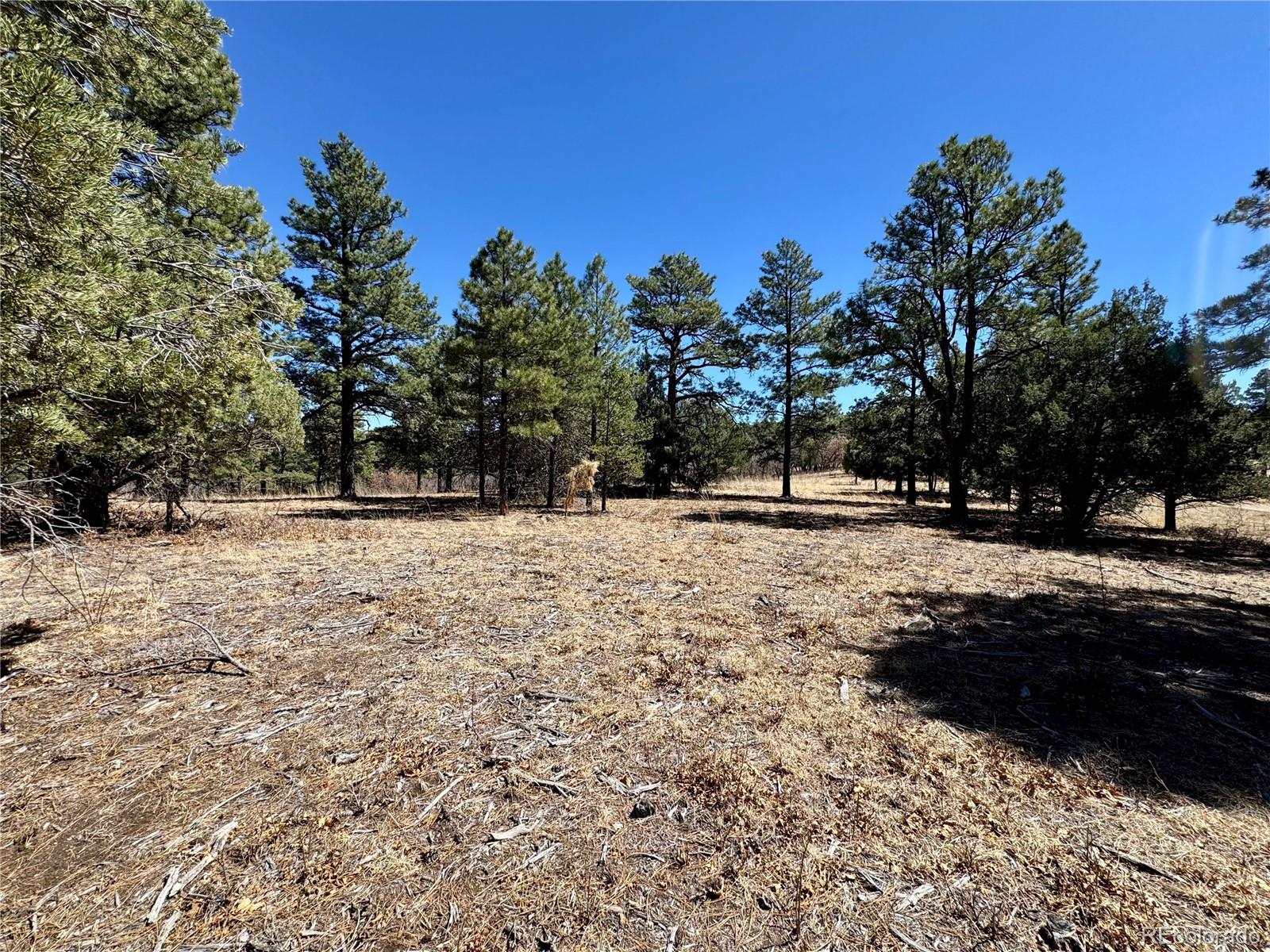 34999 Timber Park Drive Trinidad CO 81082