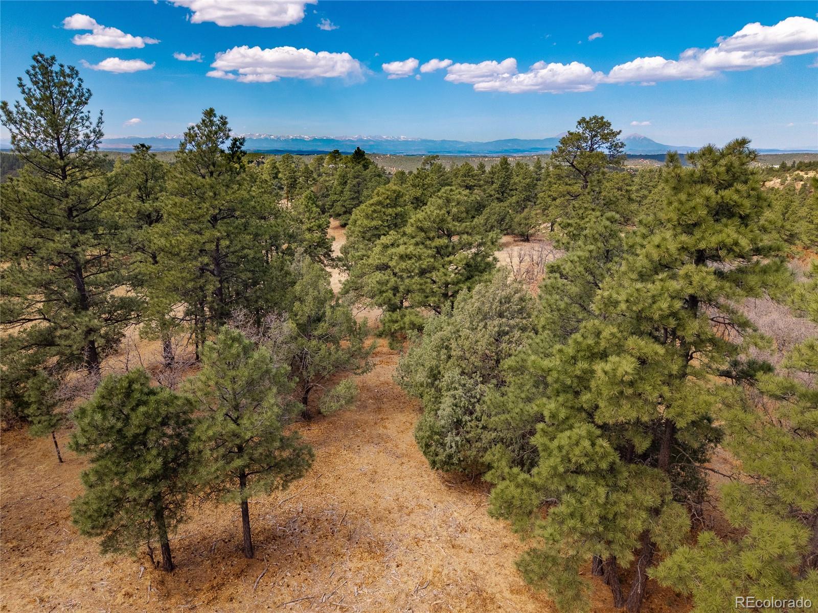 34999 Timber Park Drive Trinidad CO 81082