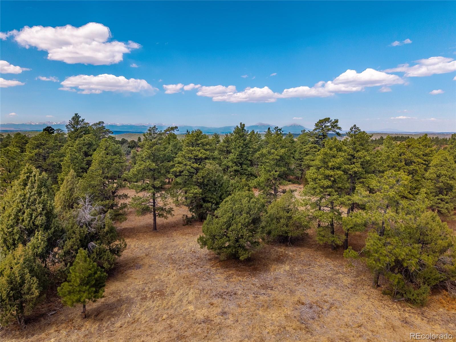 34999 Timber Park Drive Trinidad CO 81082