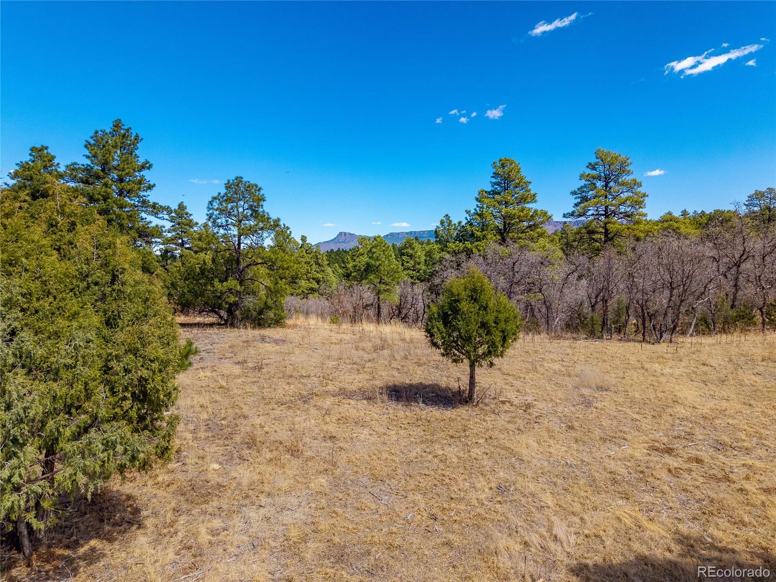 34999 Timber Park Drive Trinidad CO 81082