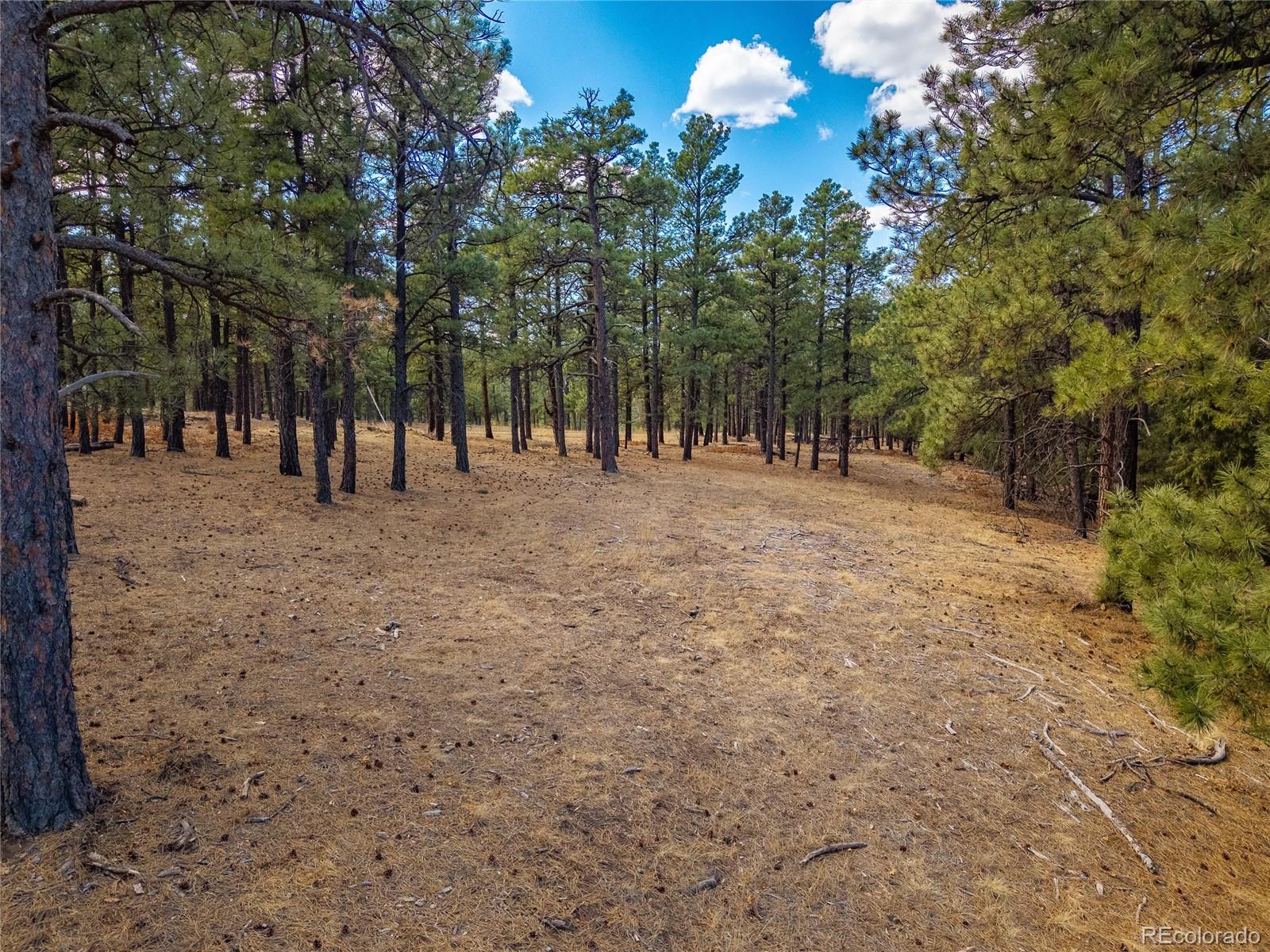 34999 Timber Park Drive Trinidad CO 81082