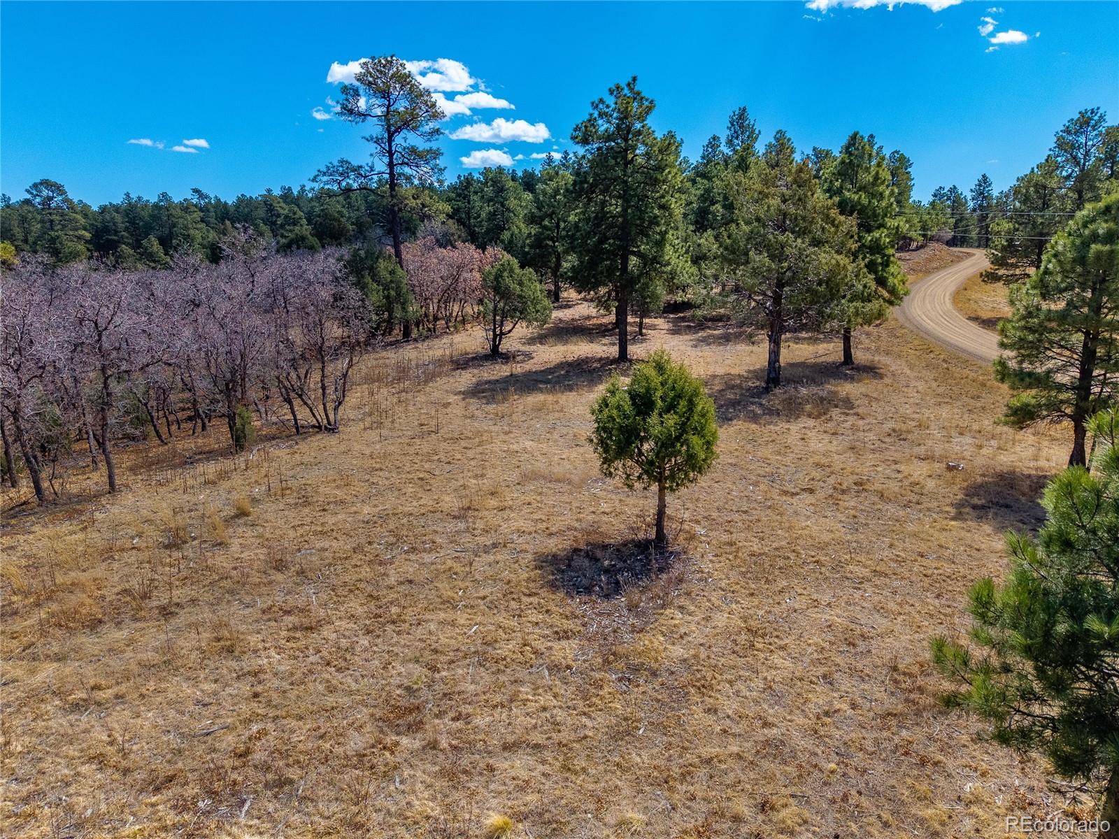 34999 Timber Park Drive Trinidad CO 81082