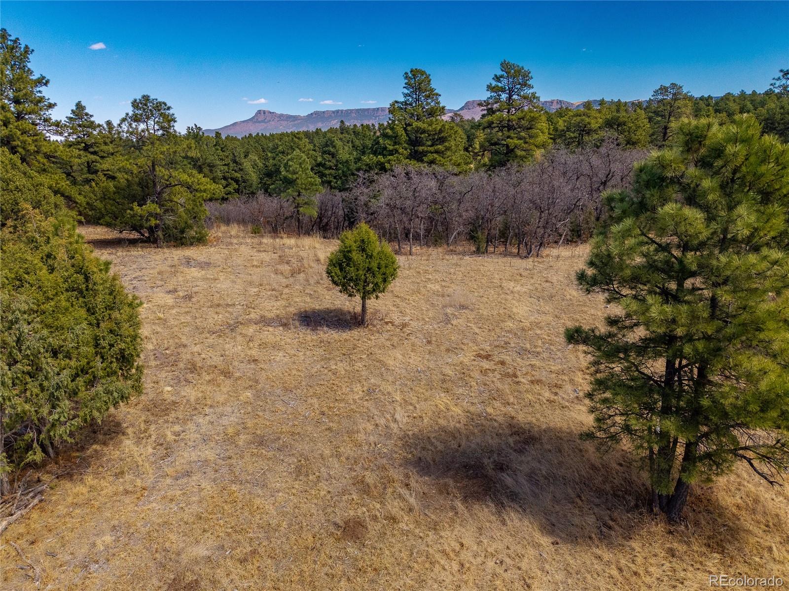 34999 Timber Park Drive Trinidad CO 81082