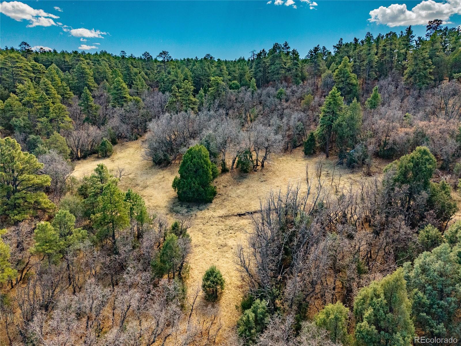 34999 Timber Park Drive Trinidad CO 81082