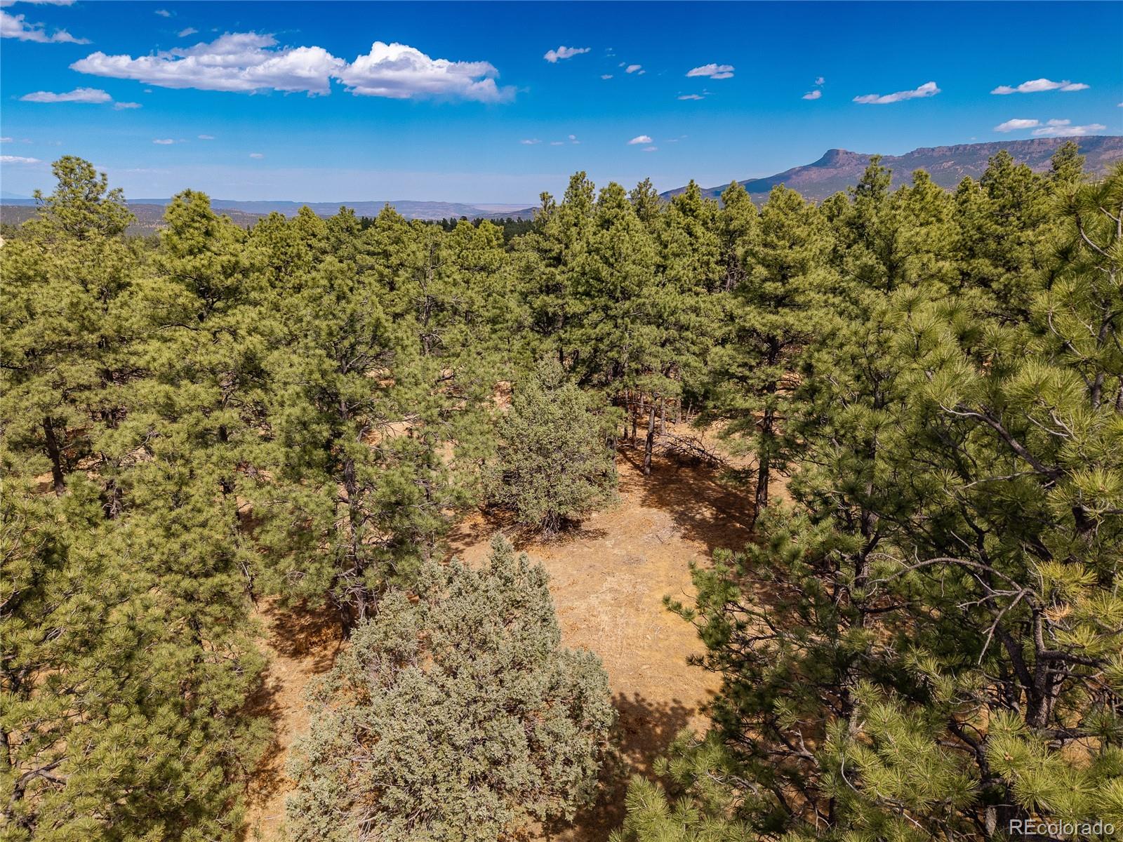 34999 Timber Park Drive Trinidad CO 81082