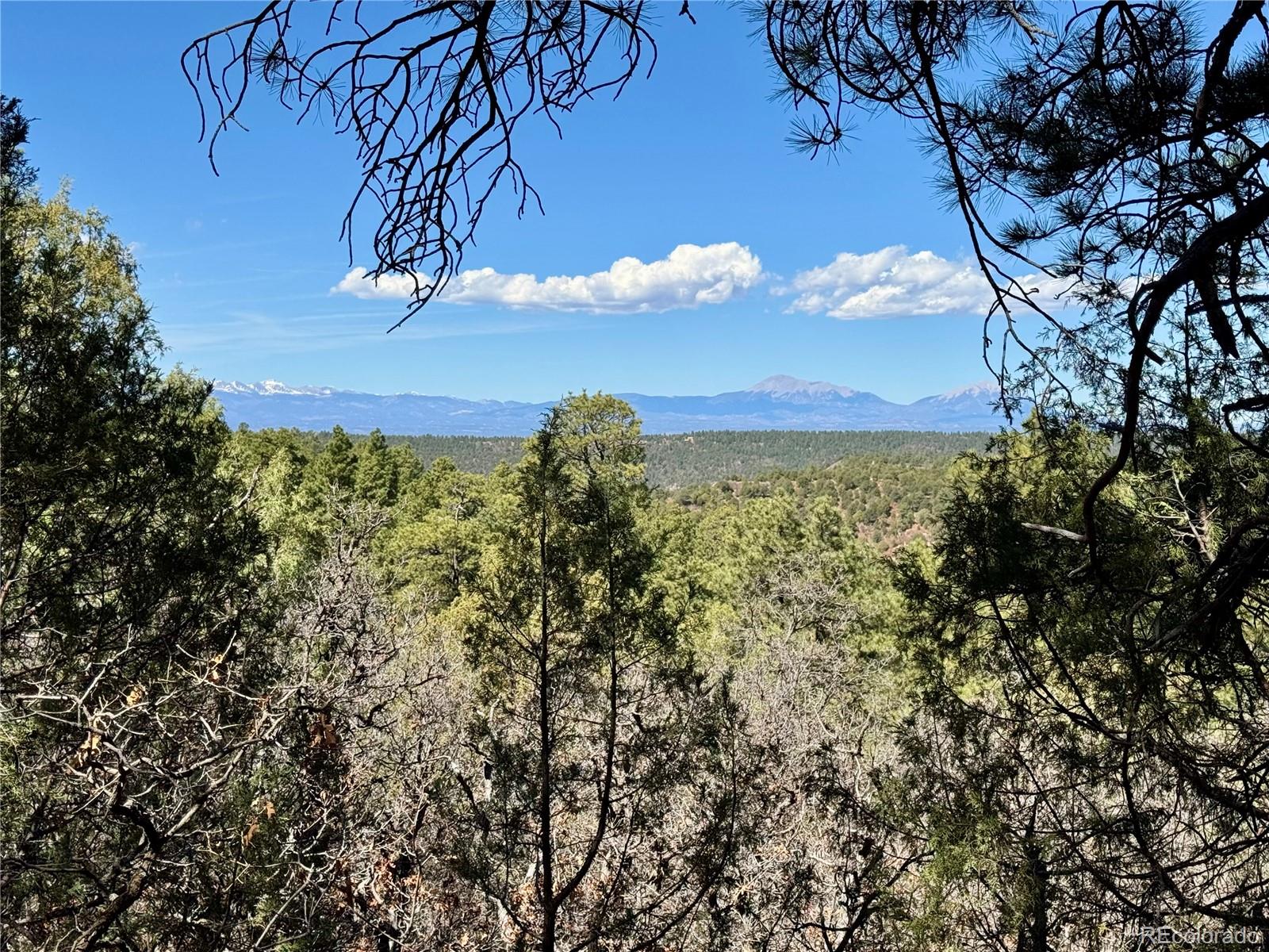 34999 Timber Park Drive Trinidad CO 81082
