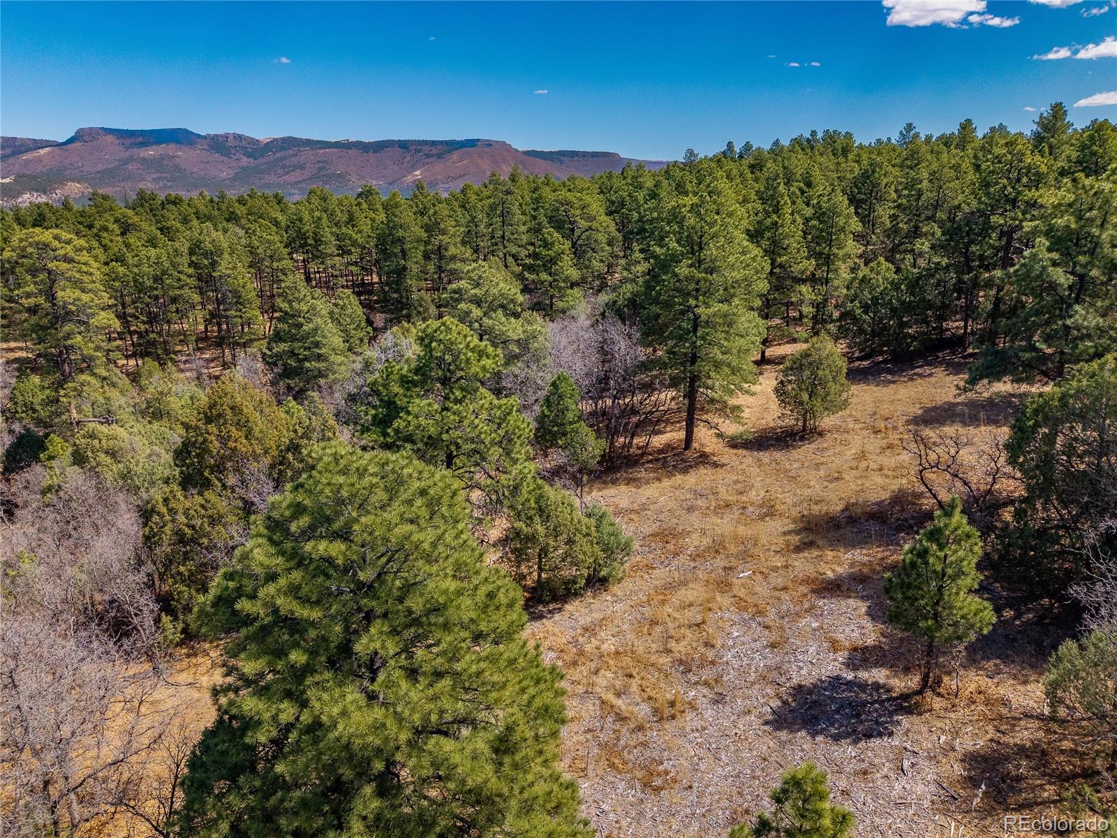 34999 Timber Park Drive Trinidad CO 81082