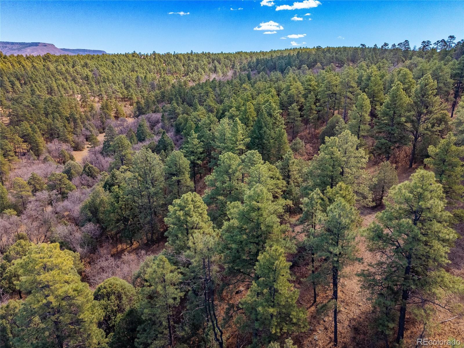 34999 Timber Park Drive Trinidad CO 81082