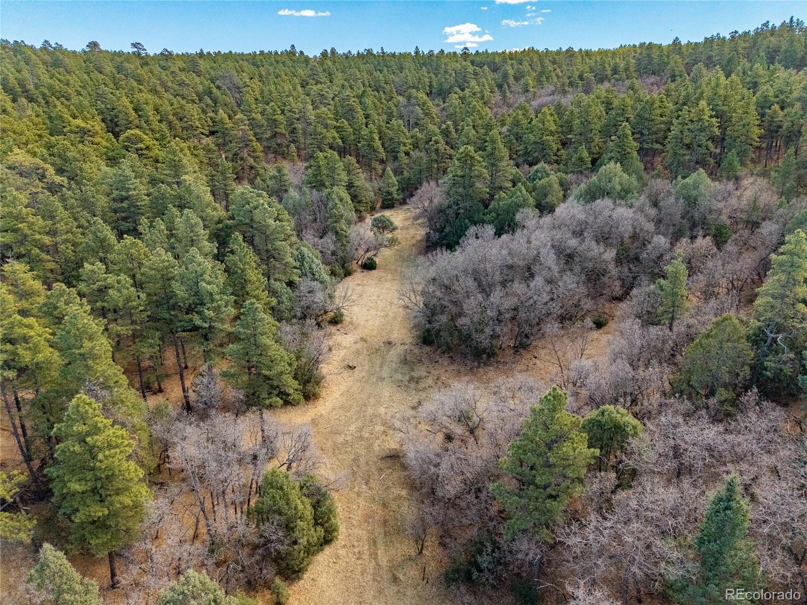 34999 Timber Park Drive Trinidad CO 81082