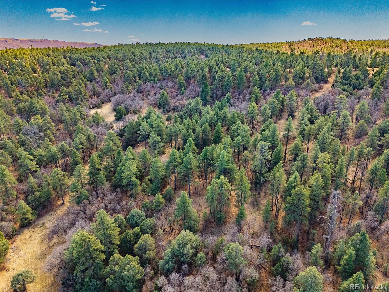 34999 Timber Park Drive Trinidad CO 81082
