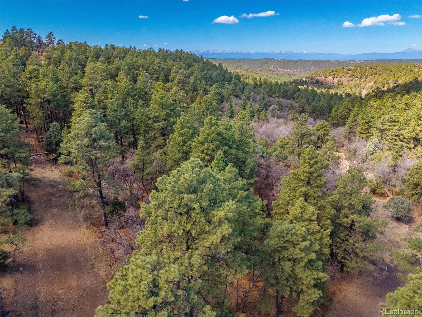 34999 Timber Park Drive Trinidad CO 81082