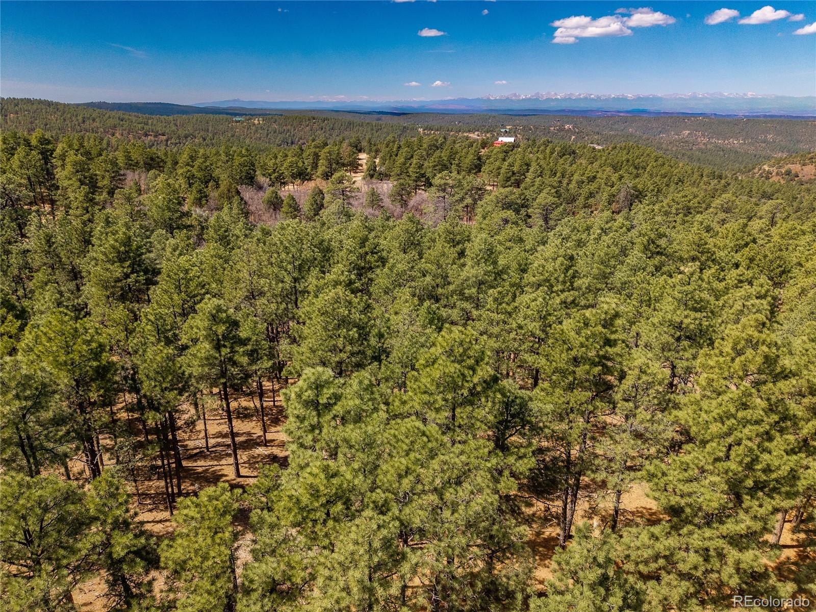 34999 Timber Park Drive Trinidad CO 81082