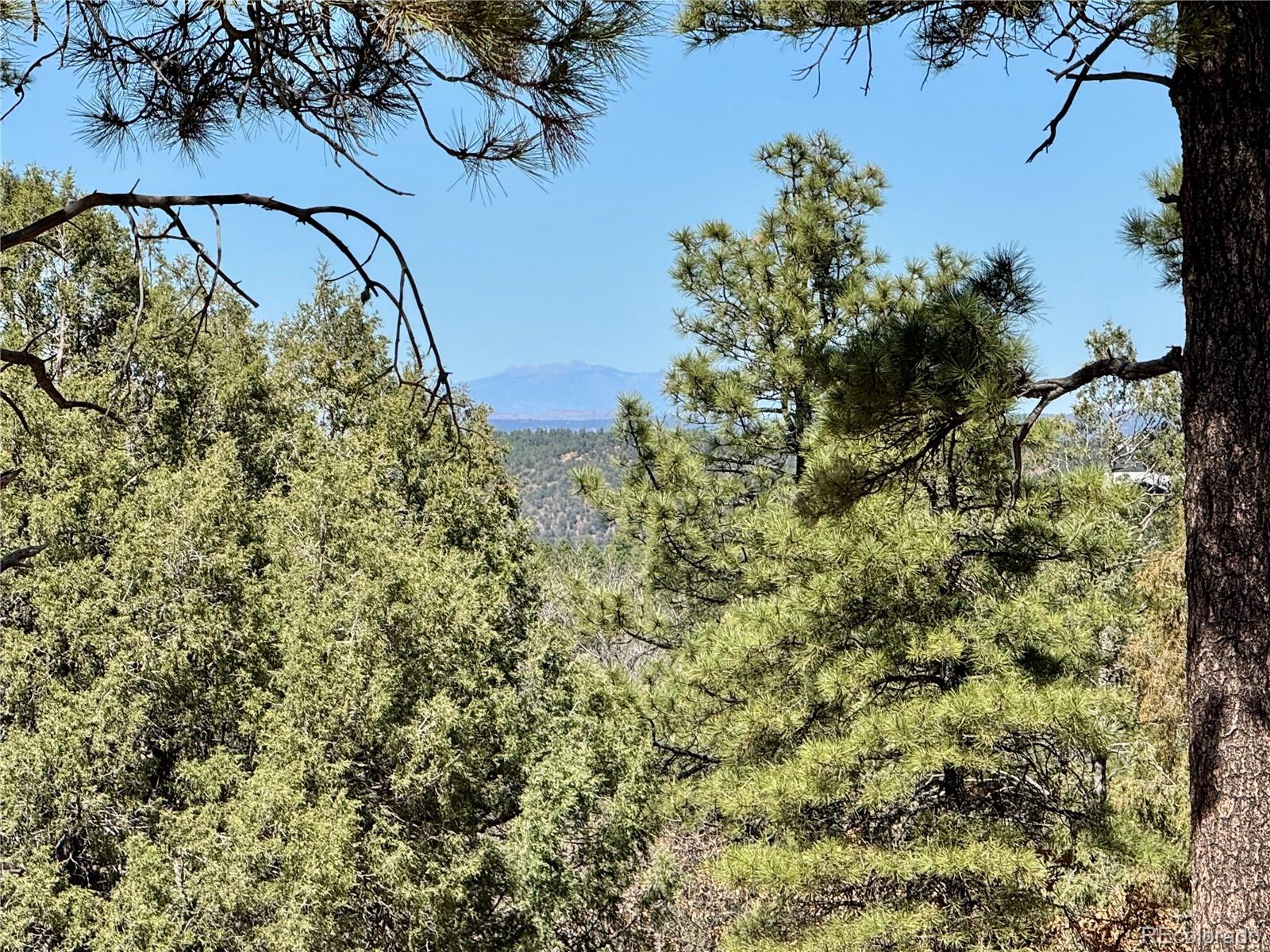 34999 Timber Park Drive Trinidad CO 81082