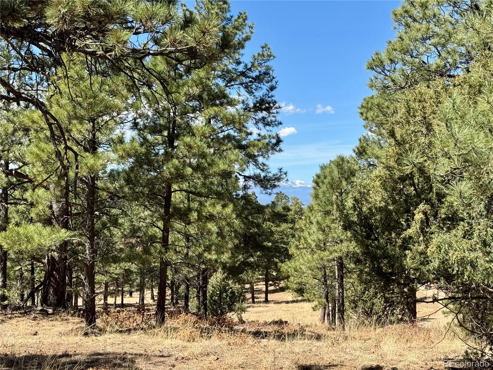 34999 Timber Park Drive Trinidad CO 81082