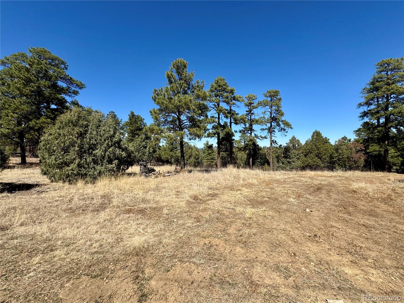 34999 Timber Park Drive Trinidad CO 81082