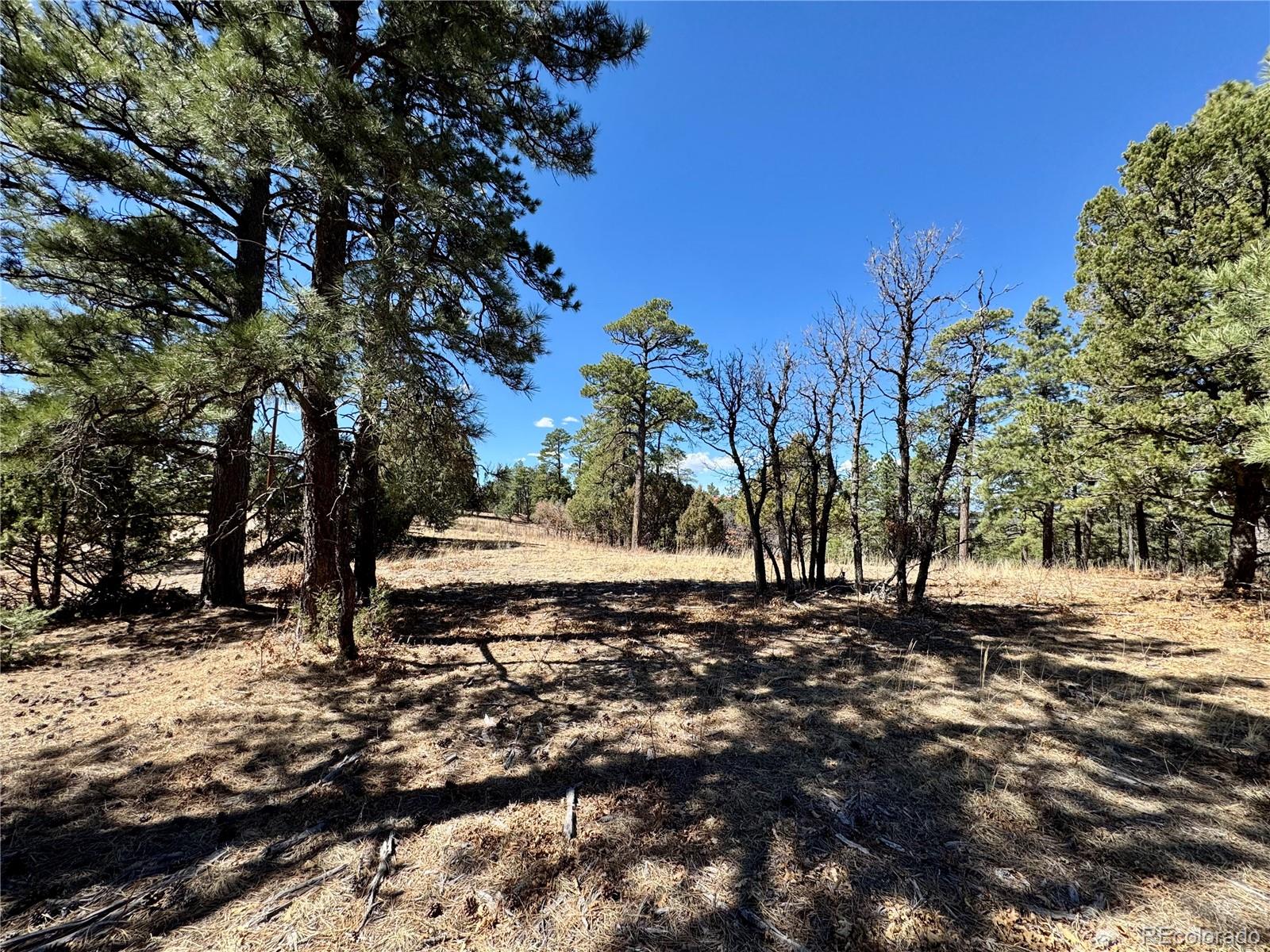 34999 Timber Park Drive Trinidad CO 81082