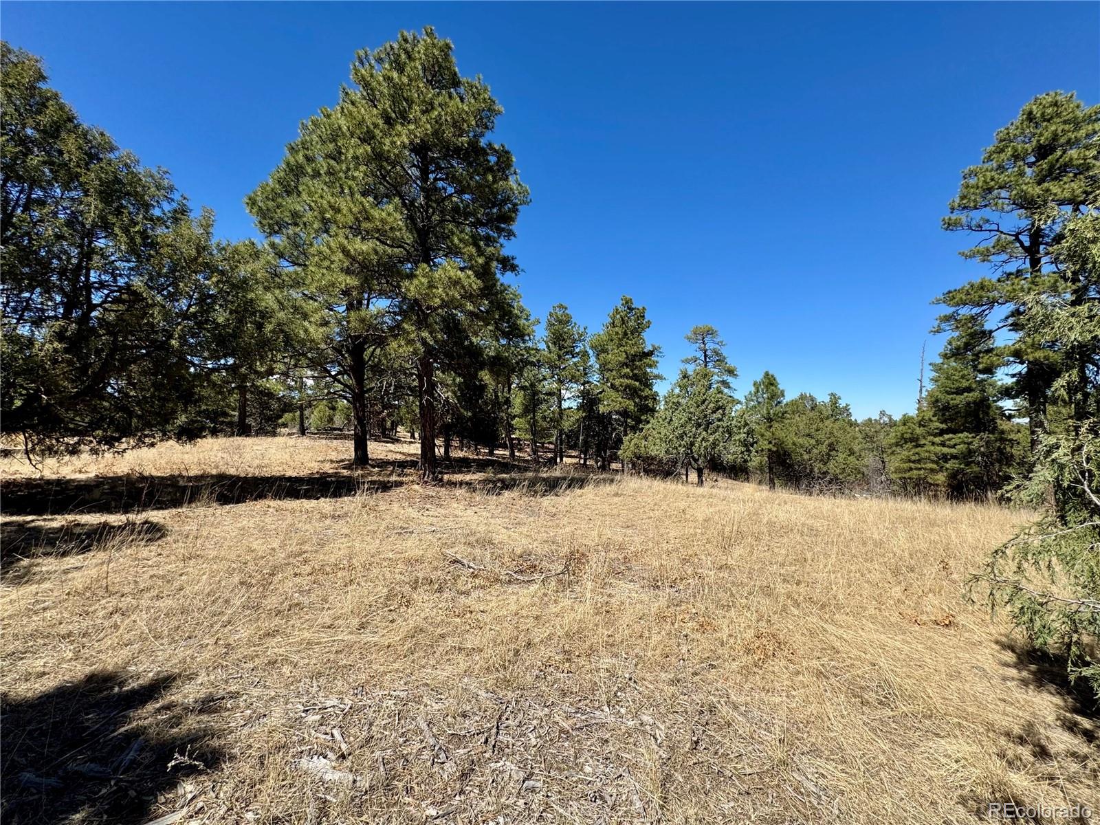 34999 Timber Park Drive Trinidad CO 81082