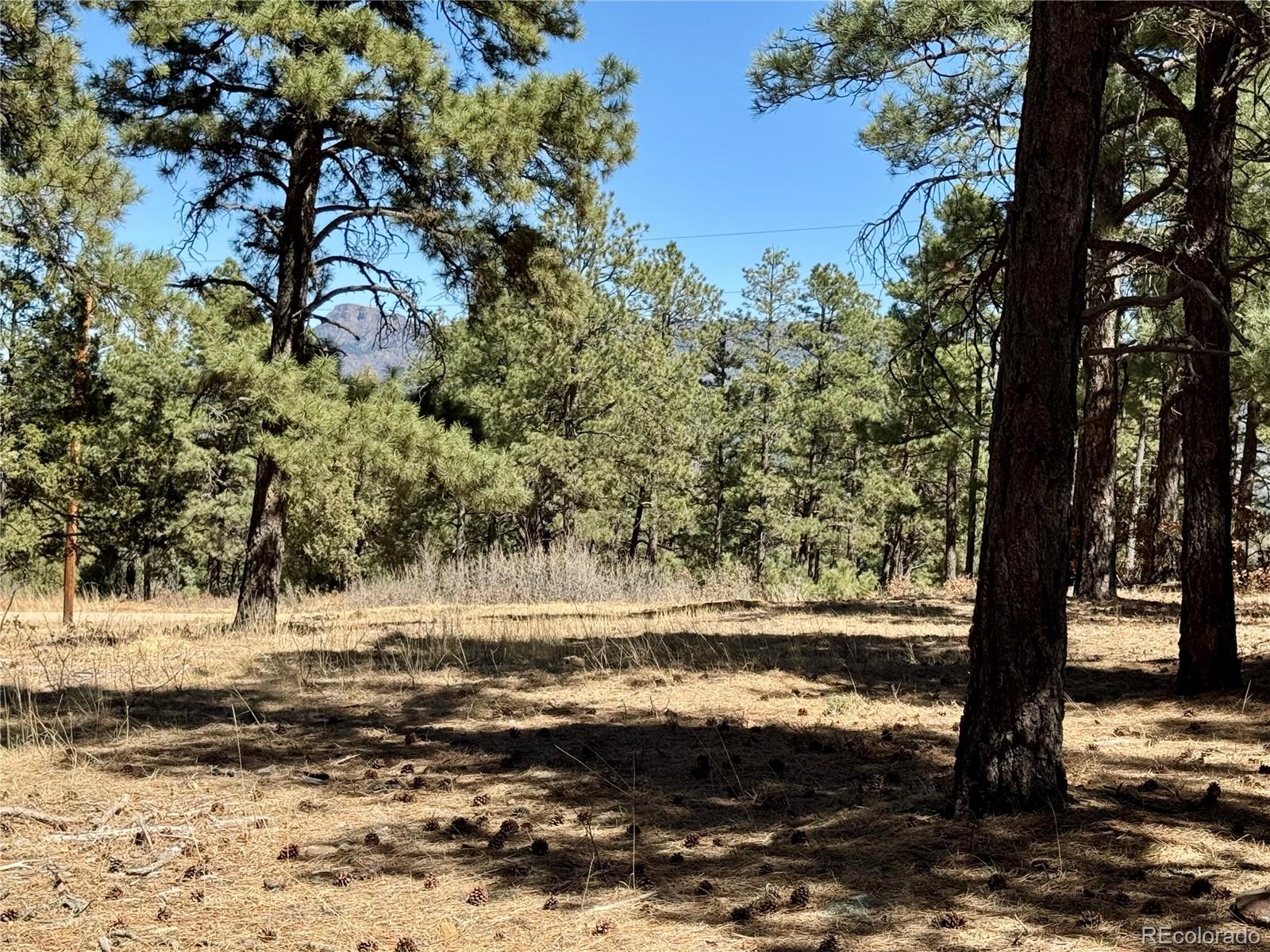 34999 Timber Park Drive Trinidad CO 81082