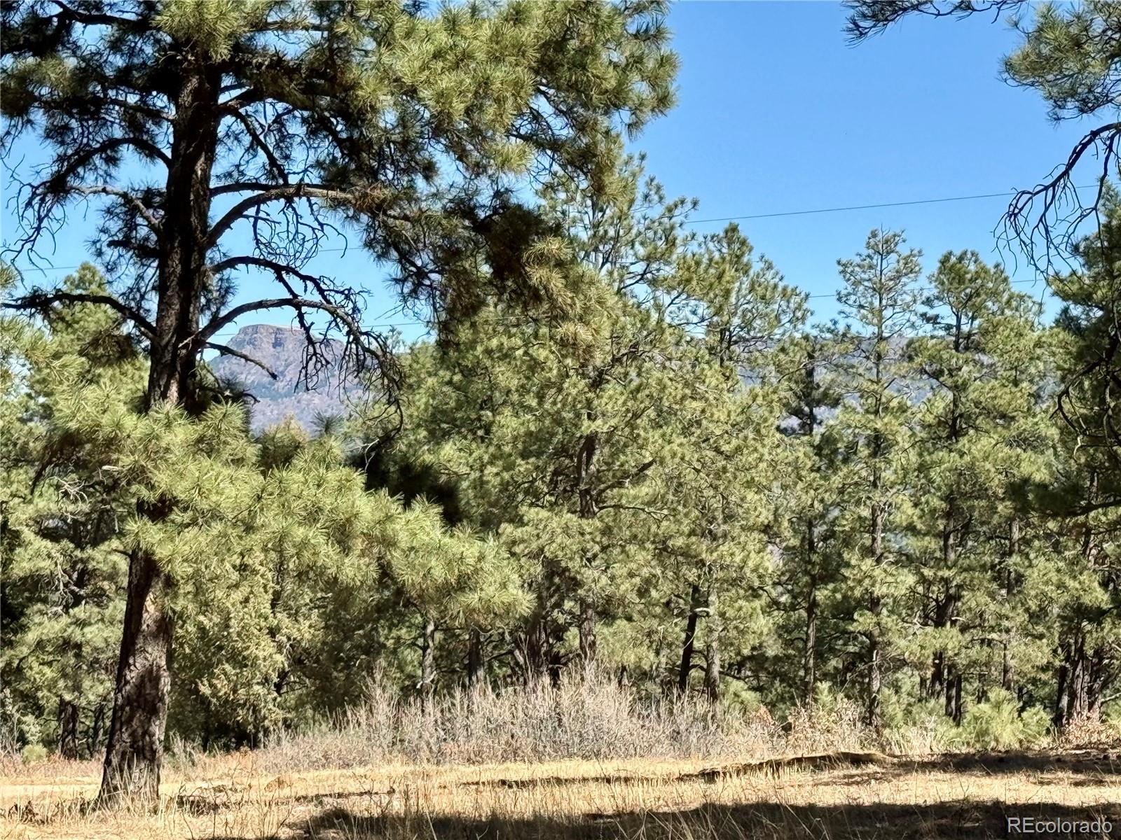 34999 Timber Park Drive Trinidad CO 81082