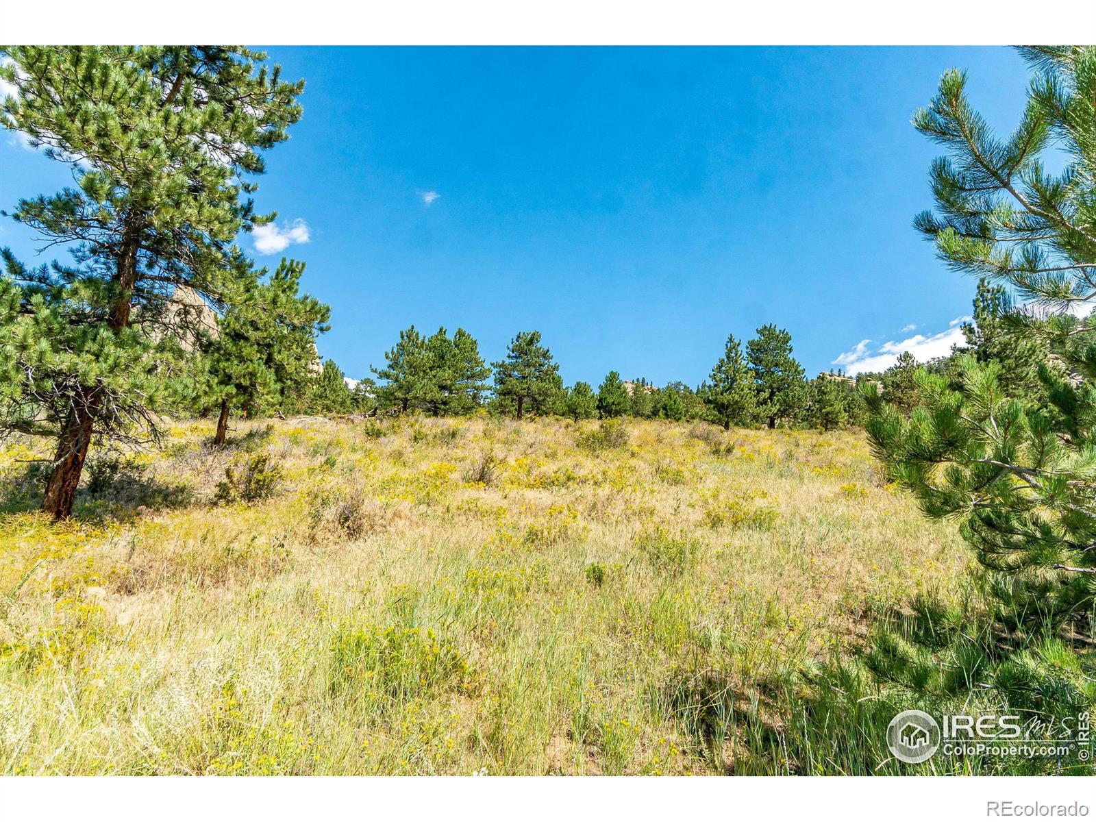 0 W Elkhorn Road Estes Park CO 80517