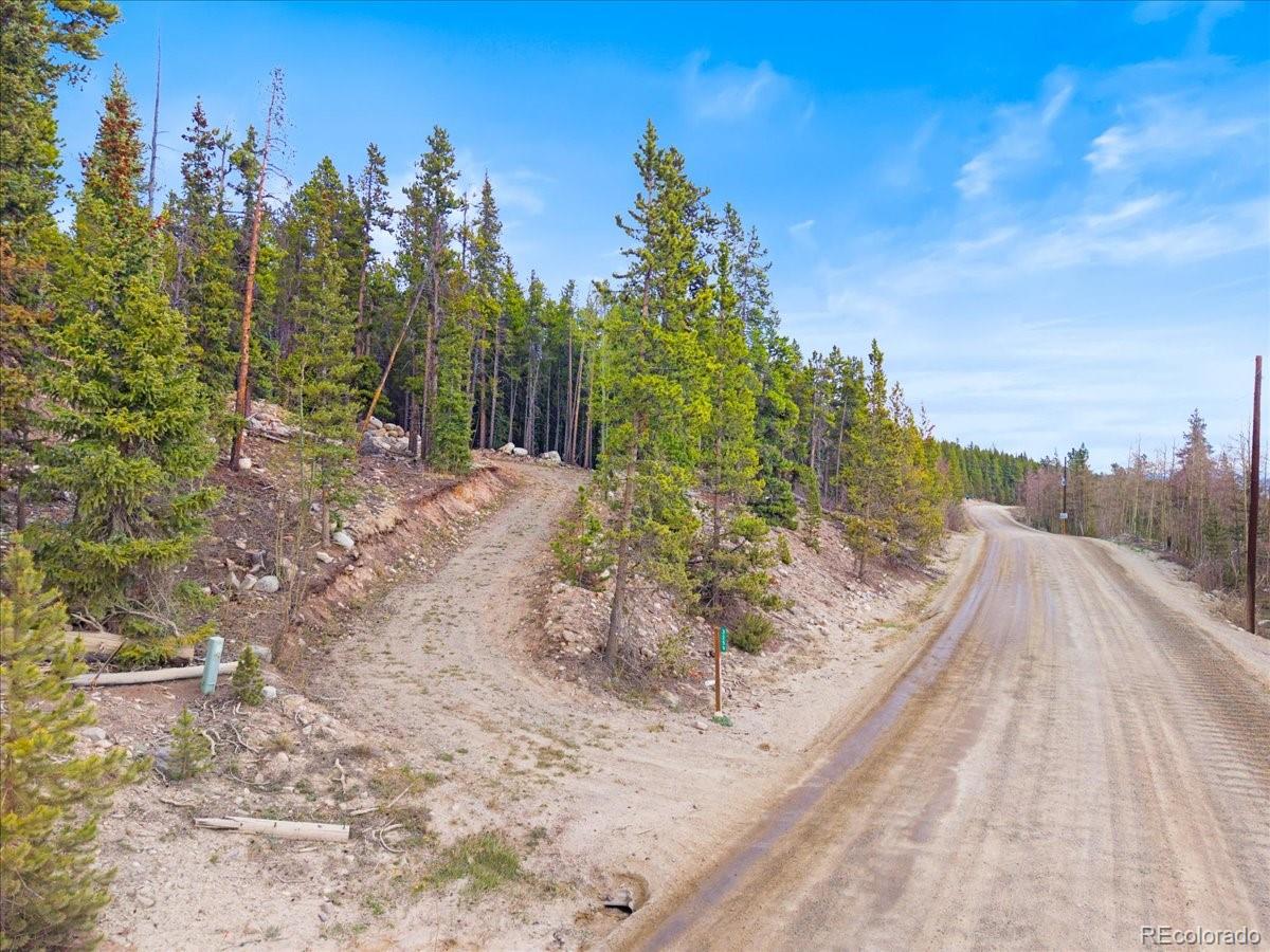 3259 Nugget Road Fairplay CO 80440