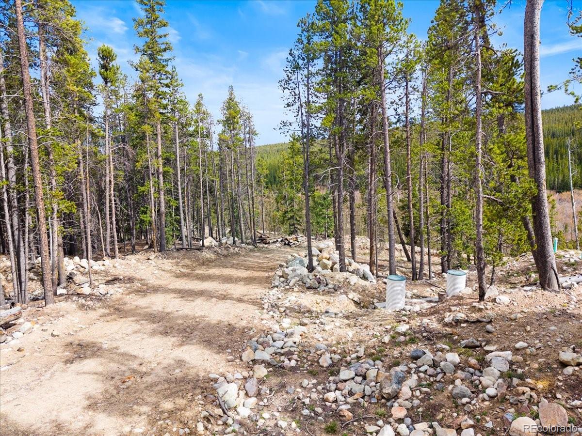 3259 Nugget Road Fairplay CO 80440