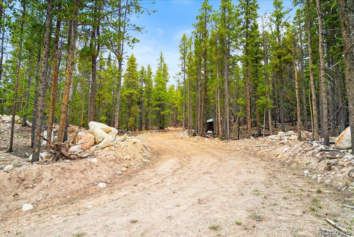 3259 Nugget Road Fairplay CO 80440