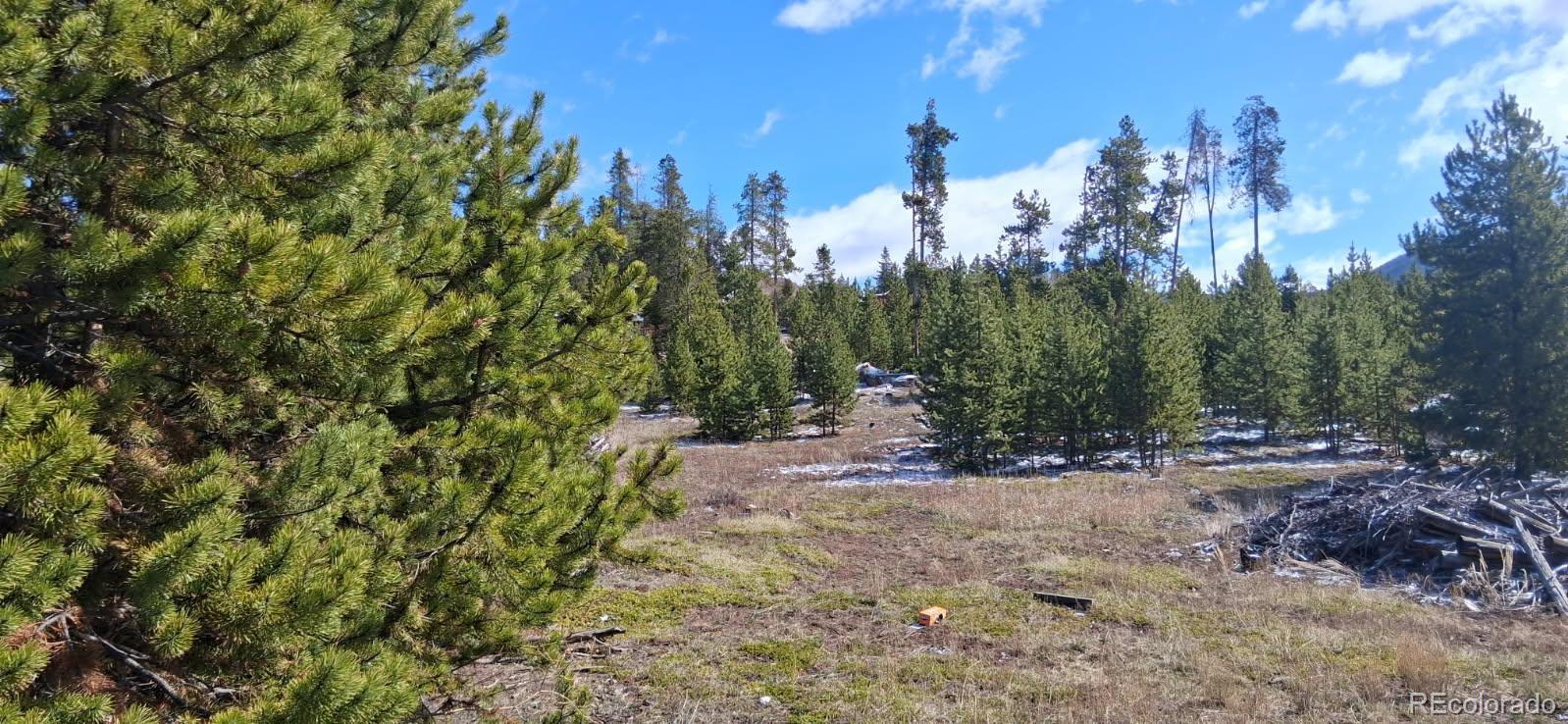 164 County Road 443 Grand Lake CO 80447