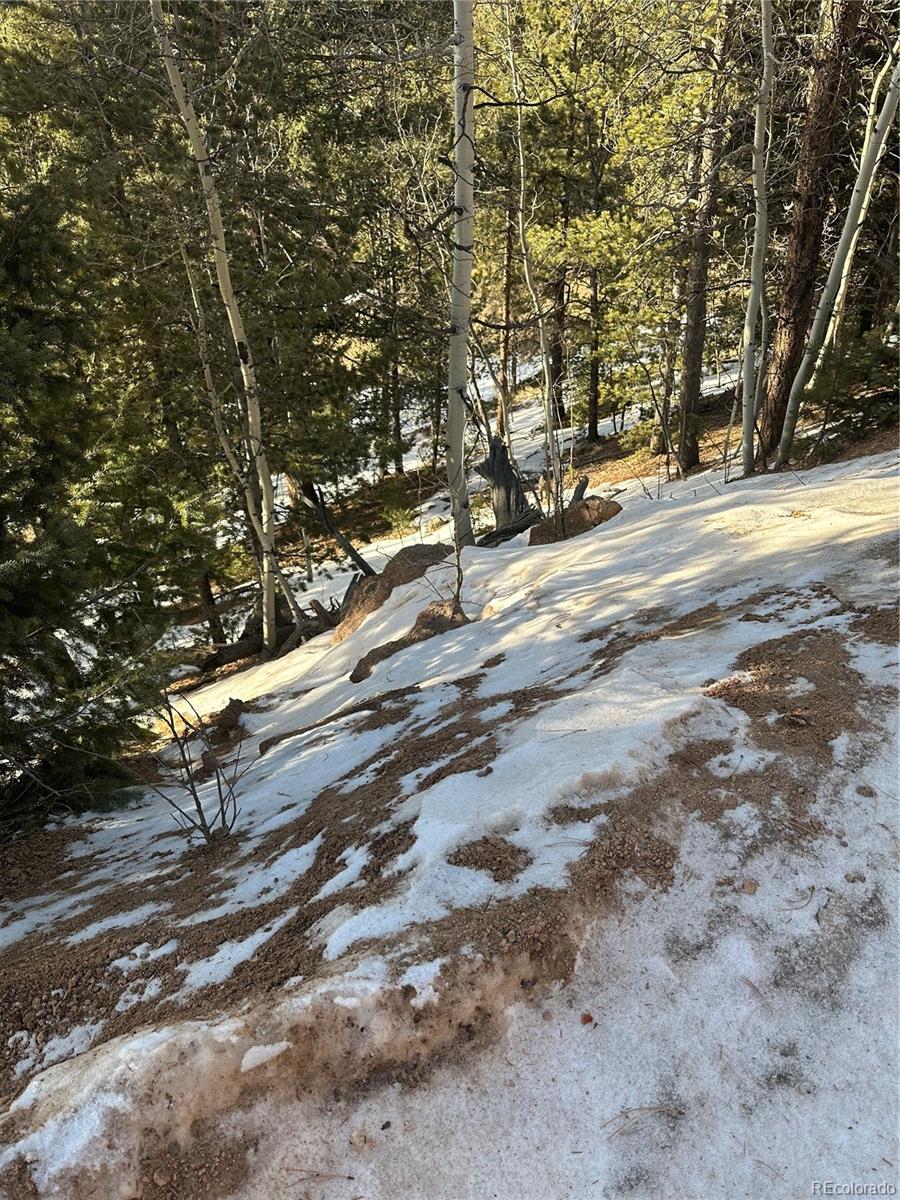 1600 Pikes Peak Drive Divide CO 80814