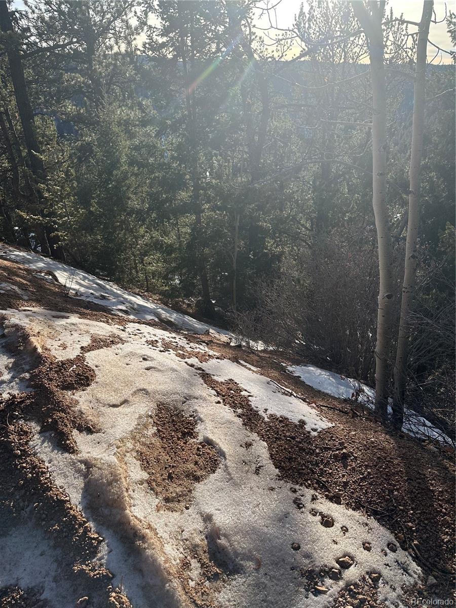 1600 Pikes Peak Drive Divide CO 80814