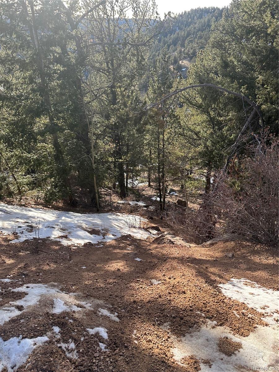 1600 Pikes Peak Drive Divide CO 80814