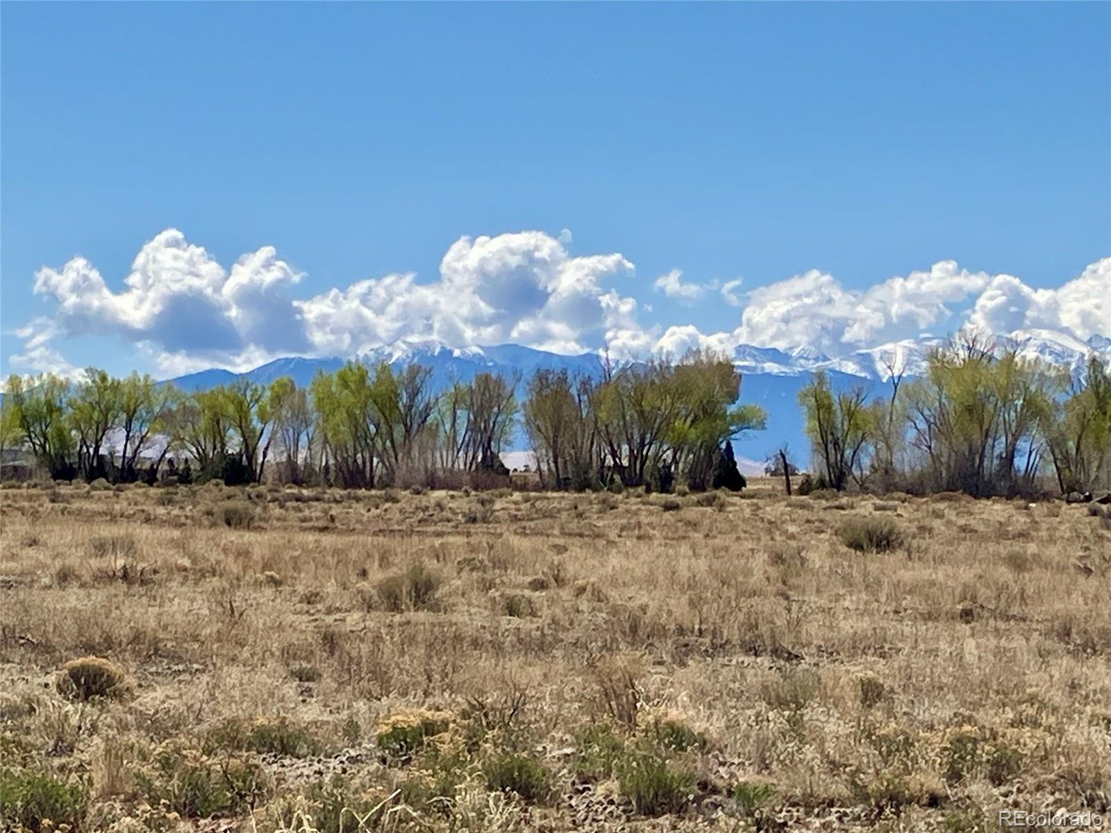 380 N Charolais Trail Crestone CO 81131