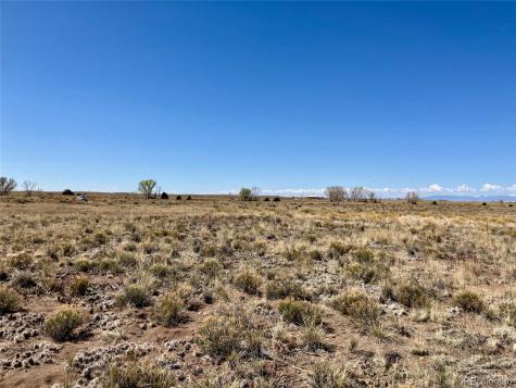 380 N Charolais Trail Crestone CO 81131