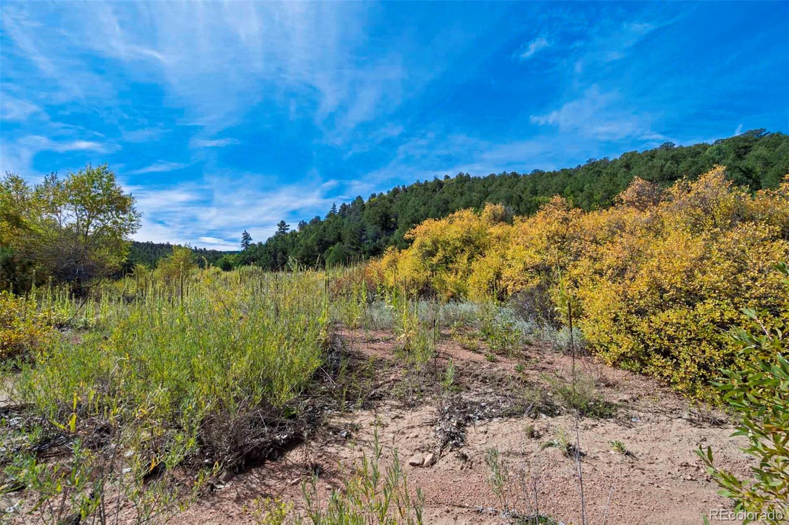 10719 County Road 69 Canon City CO 81212