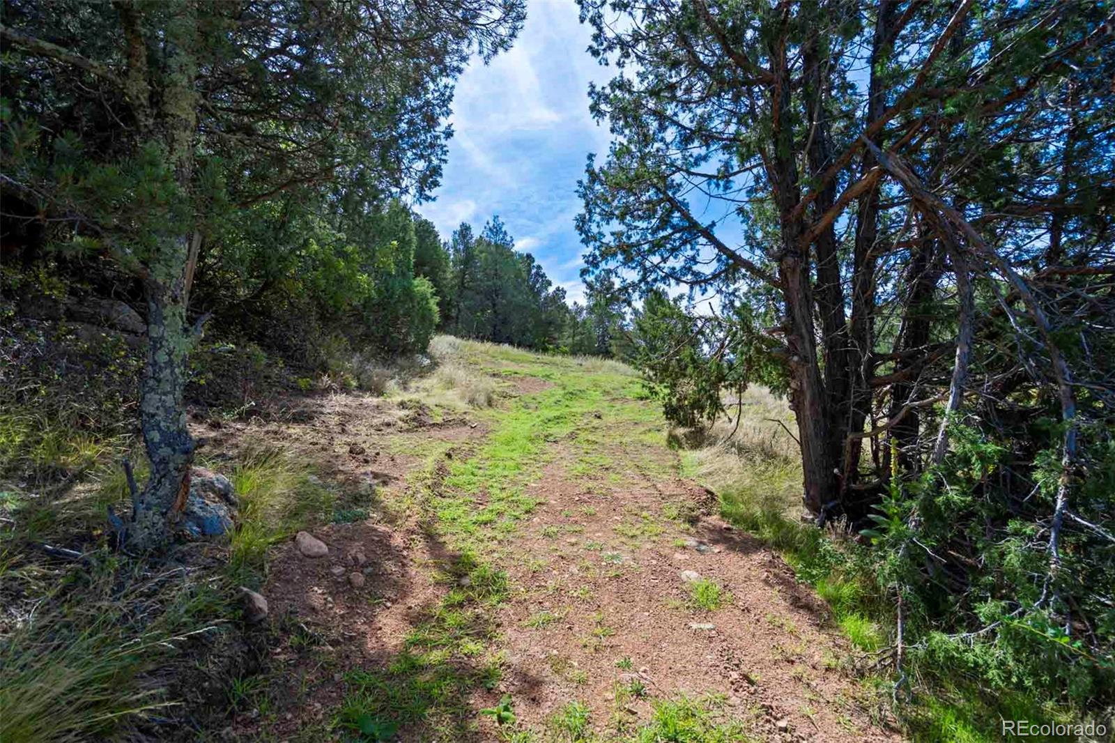 10719 County Road 69 Canon City CO 81212