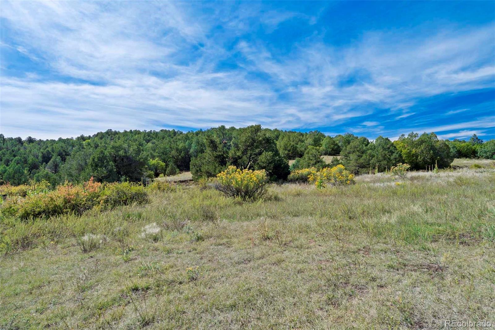 10719 County Road 69 Canon City CO 81212
