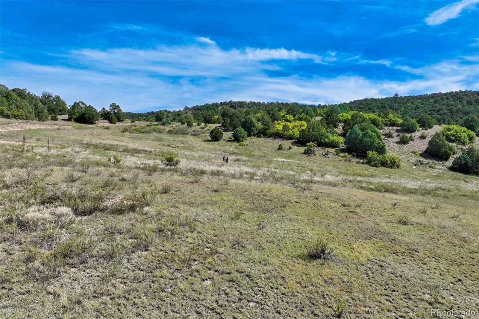10719 County Road 69 Canon City CO 81212
