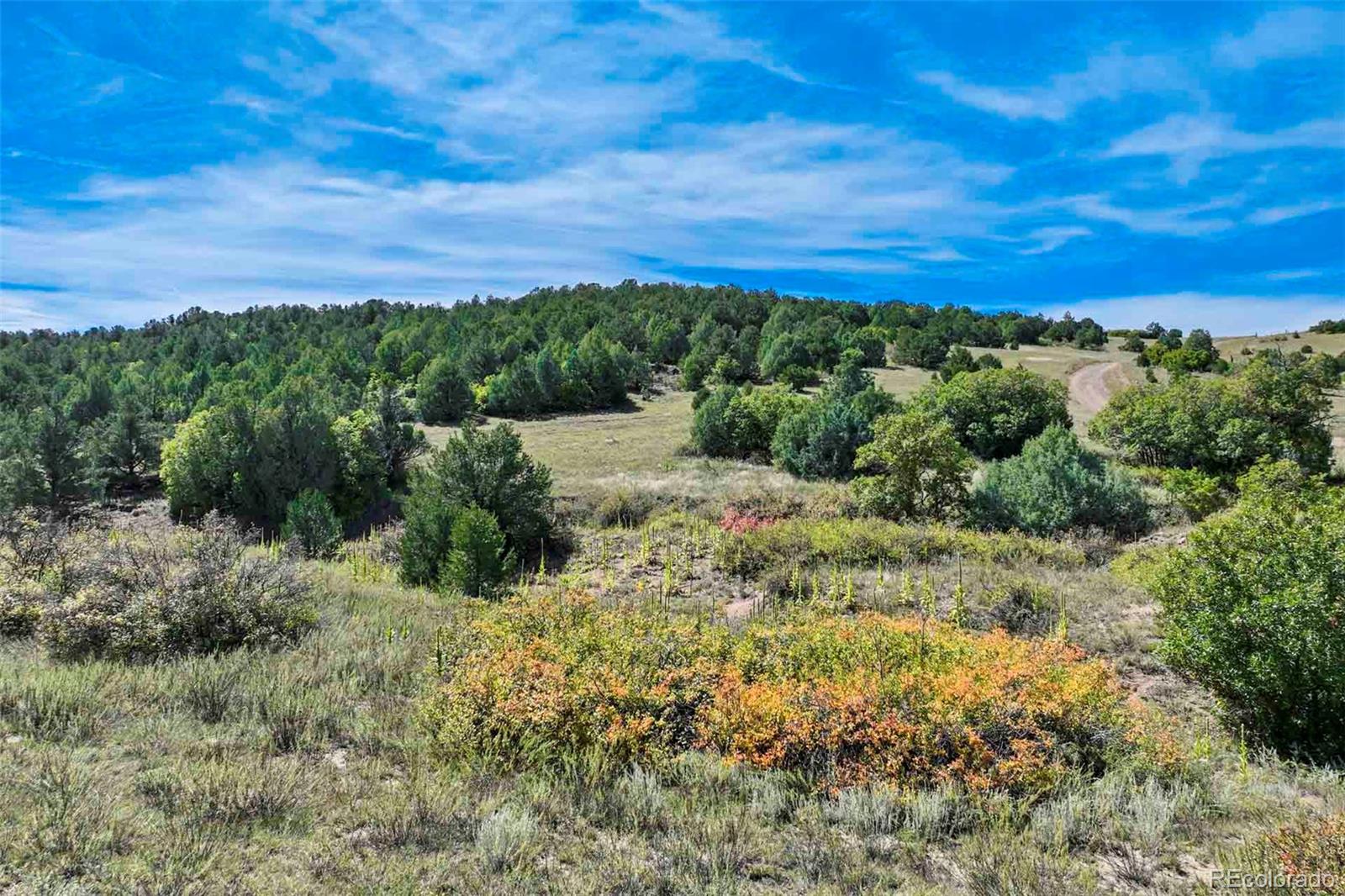 10719 County Road 69 Canon City CO 81212