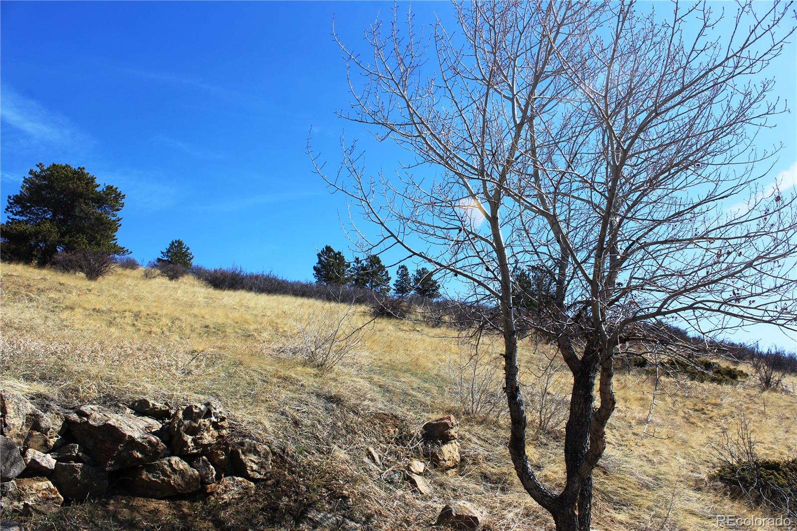 Lot 11 E Seventh Street Central City CO 80427