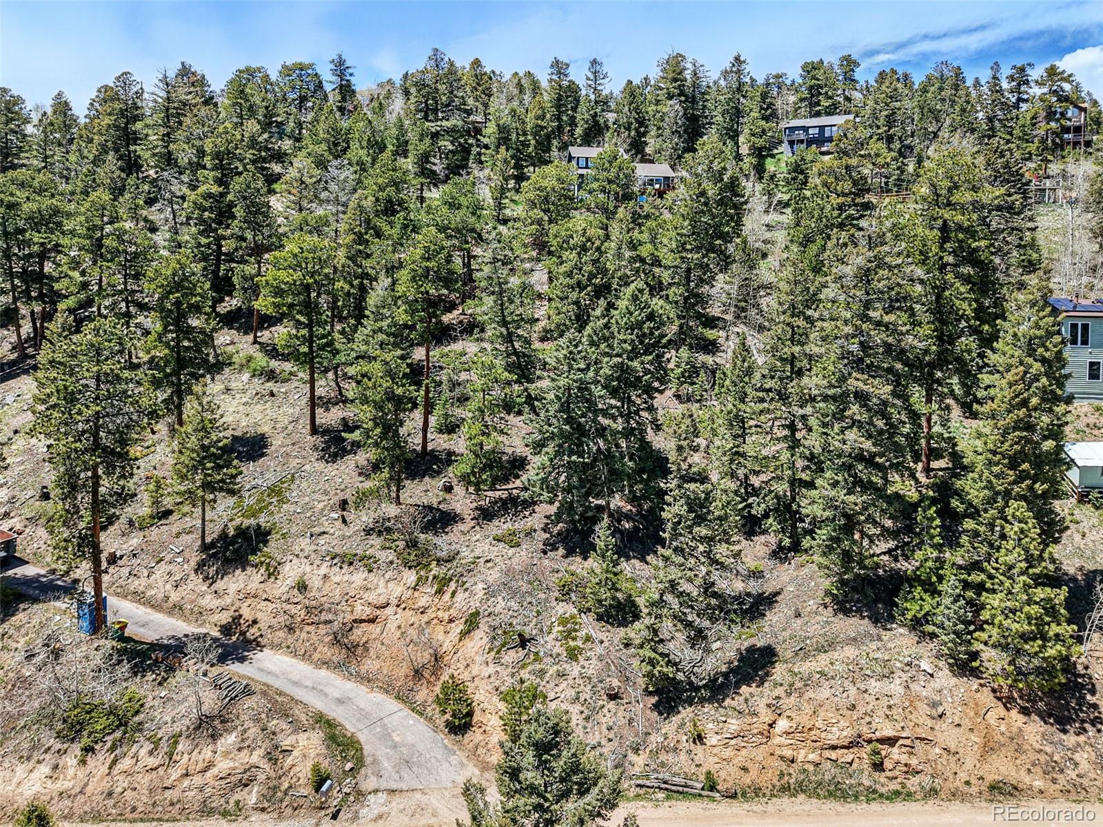 11618 Nichols Way Conifer CO 80433