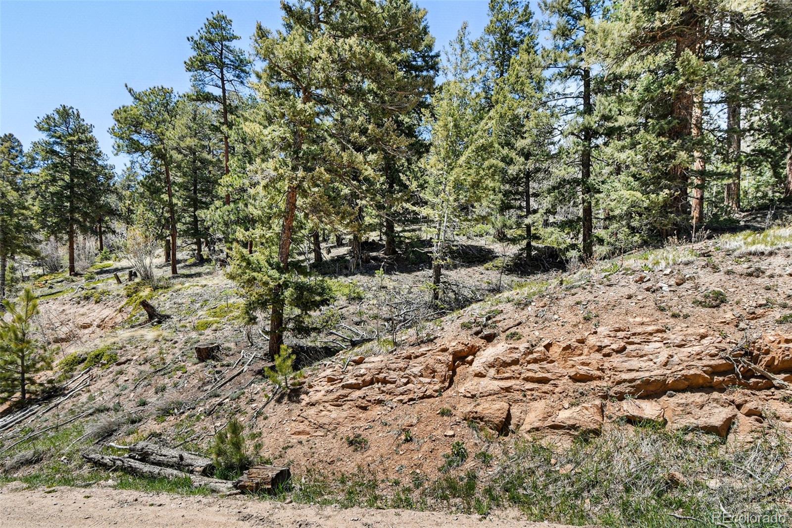 11618 Nichols Way Conifer CO 80433