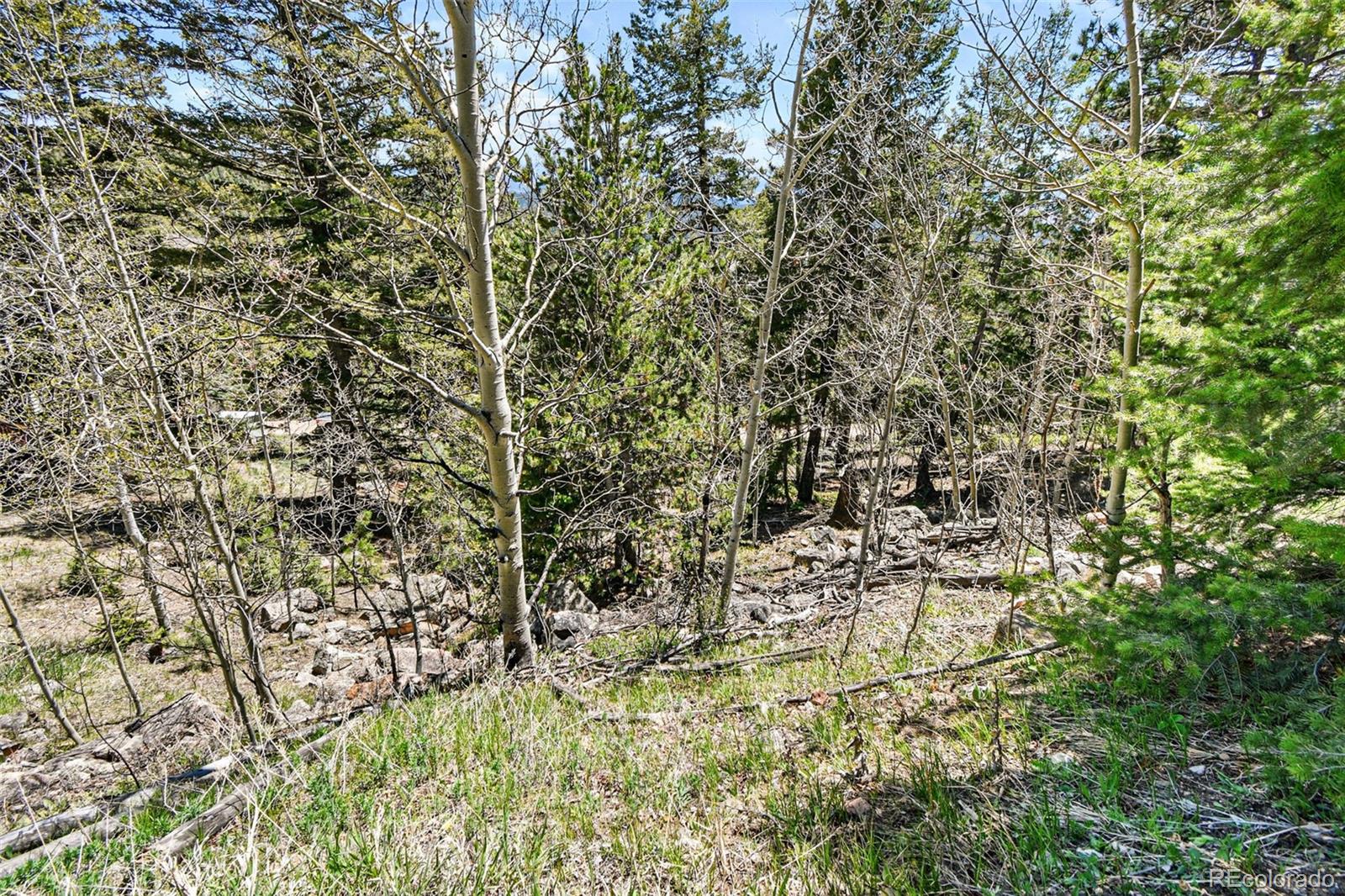 11618 Nichols Way Conifer CO 80433