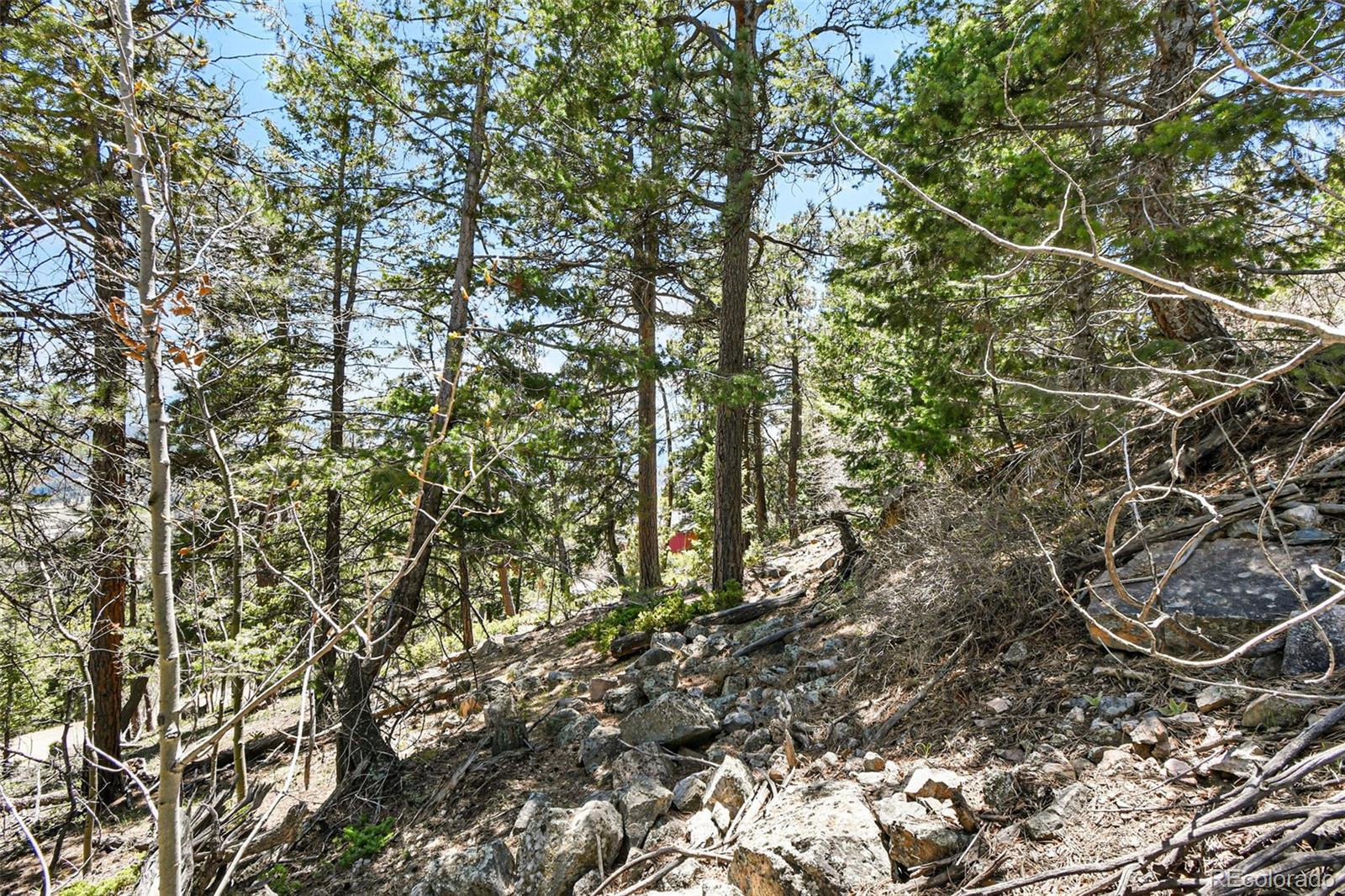 11618 Nichols Way Conifer CO 80433